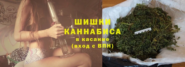 ГАЛЛЮЦИНОГЕННЫЕ ГРИБЫ Белокуриха