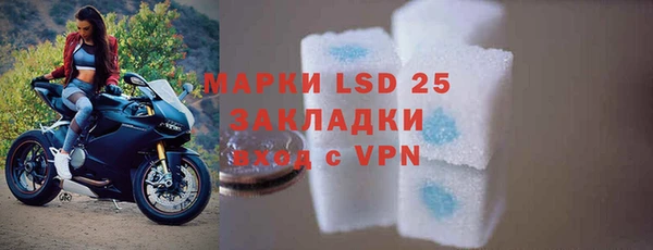 сатива Инта