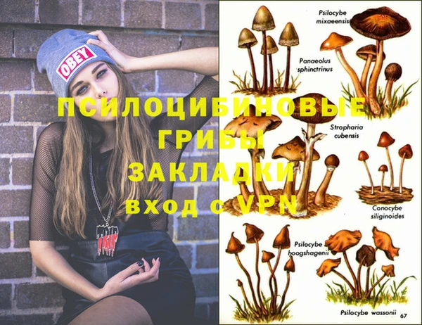 меф Балахна