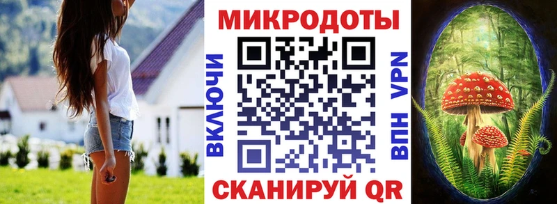 Псилоцибиновые грибы прущие грибы  Глазов 